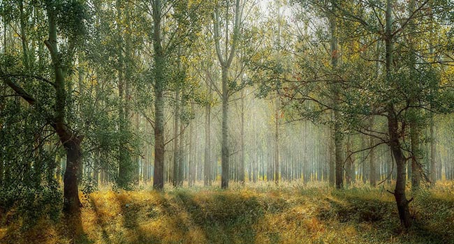 打通新生报到“*后一公里”！杭师大体育学院师生志愿服务温暖新生