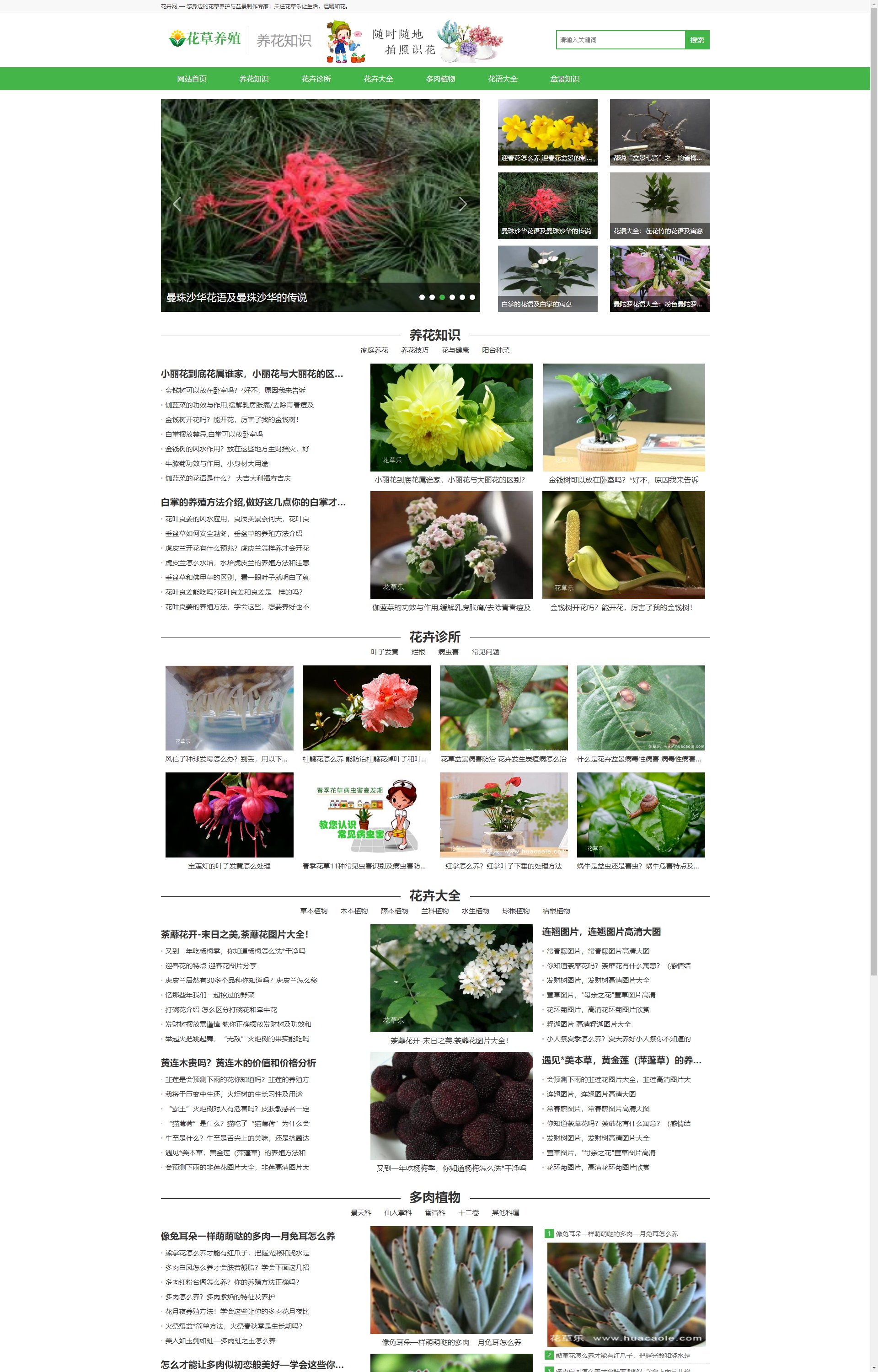 (PC+WAP)花卉养殖新闻资讯类 绿色花草植物